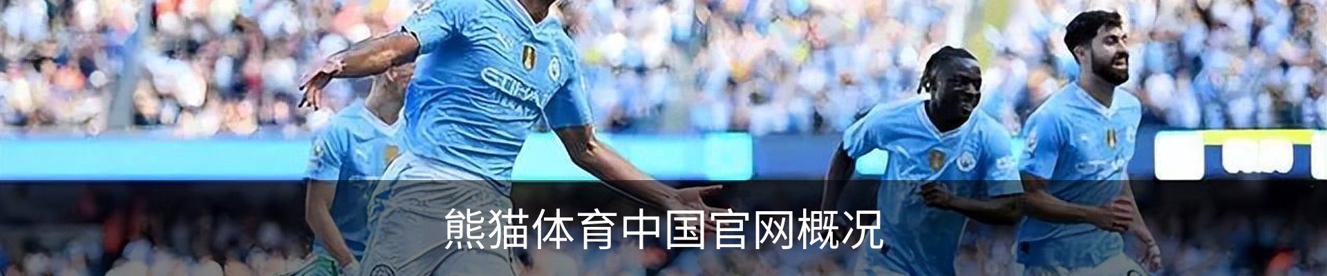 熊猫体育中国官网概况